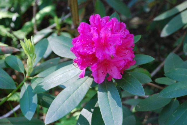 Työuupumuksesta uuteen alkuun