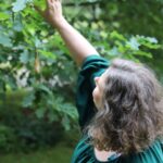 Ajanpuu coach, työnohjaaja ja johdon konsultti